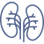 kidneys-1
