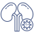 renal-disease